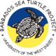 The Barbados Sea Turtle Project